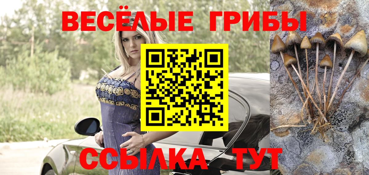 Татарск  Псилоцибиновые грибы Psilocybine cubensis  Вход с VPN 